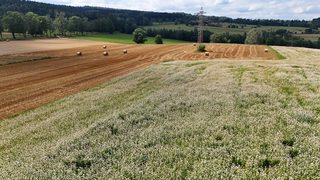 Działka budowlana w Marciszów zdjęcie 17