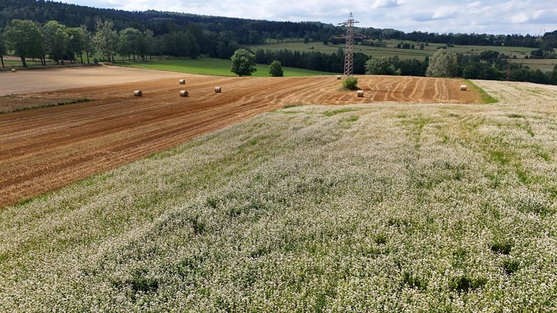 Działka na sprzedaż 5 465 m²: Działka budowlana w Marciszów