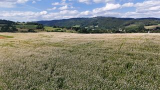 Działka budowlana w Marciszów zdjęcie 18