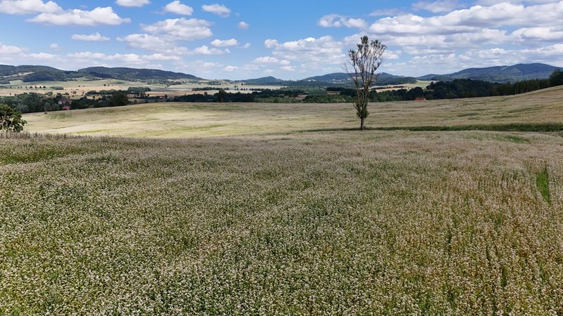 Działka na sprzedaż 5 465 m²: Działka budowlana w Marciszów