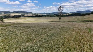 Działka budowlana w Marciszów zdjęcie 20