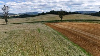 Działka budowlana w Marciszów zdjęcie 21