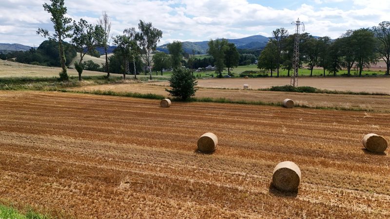 Działka na sprzedaż 5 465 m²: Działka budowlana w Marciszów