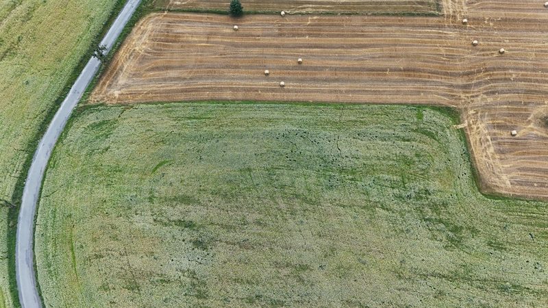 Działka na sprzedaż 5 465 m²: Działka budowlana w Marciszów