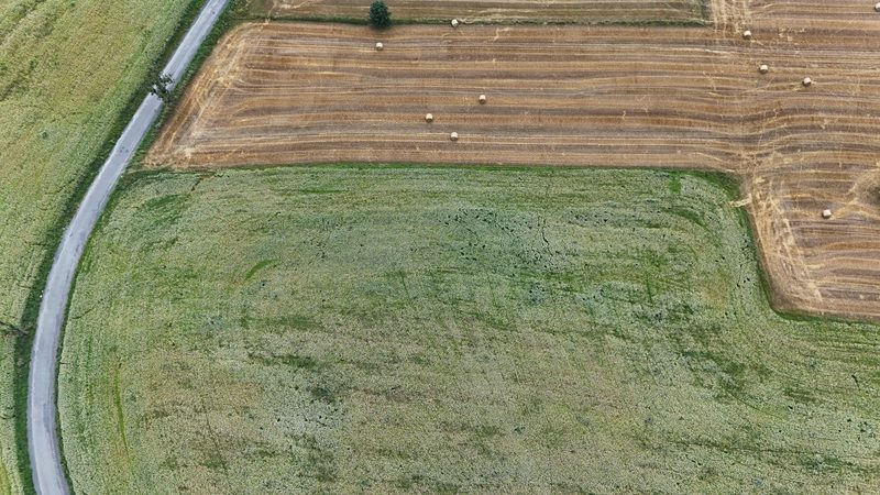 Działka na sprzedaż 5 465 m²: Działka budowlana w Marciszów