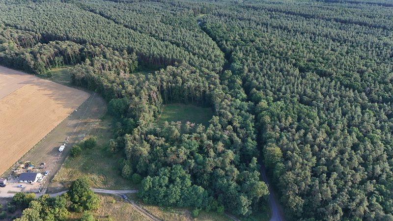 Działka na sprzedaż 891 m²: Działki budowlane przy lesie w Kłosowie, 7 km od Mieszkowic