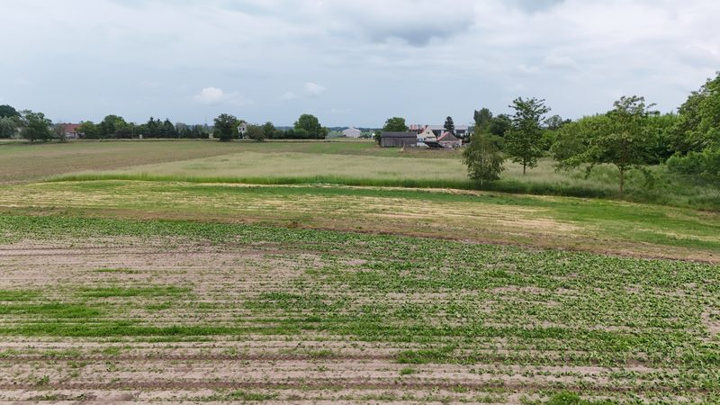 Działka na sprzedaż 579 m²: Siedem działek budowlanych z drogą wewnętrzną w Renicach, 7 km od Lipian