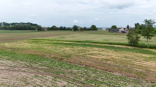 Siedem działek budowlanych z drogą wewnętrzną w Renicach, 7 km od Lipian zdjęcie 17