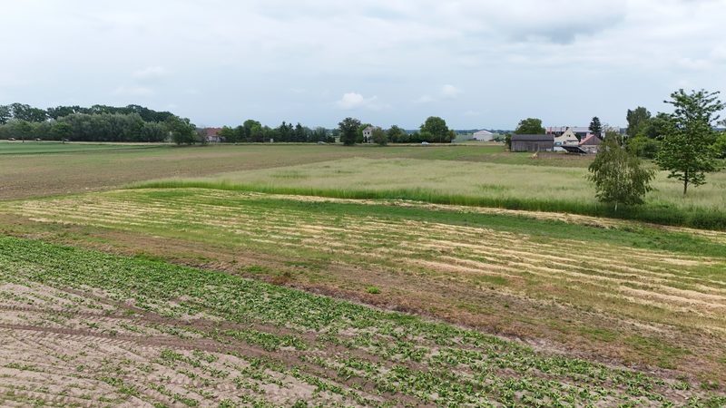 Działka na sprzedaż 579 m²: Siedem działek budowlanych z drogą wewnętrzną w Renicach, 7 km od Lipian