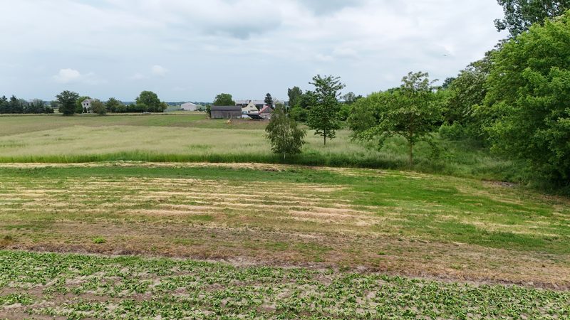 Działka na sprzedaż 579 m²: Siedem działek budowlanych z drogą wewnętrzną w Renicach, 7 km od Lipian