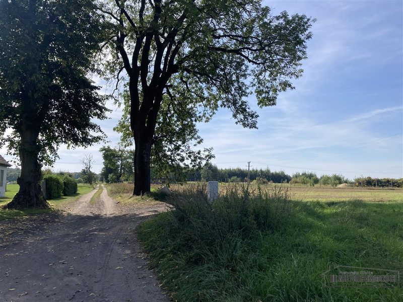 Działka na sprzedaż 927 m²: Działki budowlane na sprzedaż w Wyszomierzu