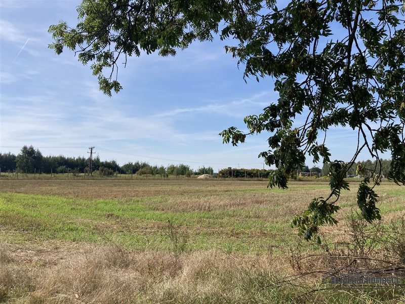 Działka na sprzedaż 927 m²: Działki budowlane na sprzedaż w Wyszomierzu