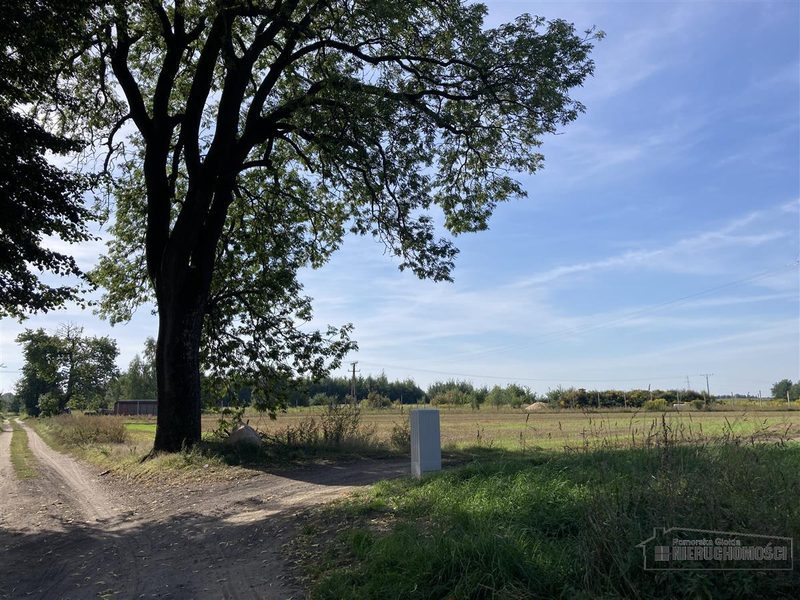 Działka na sprzedaż 927 m²: Działki budowlane na sprzedaż w Wyszomierzu
