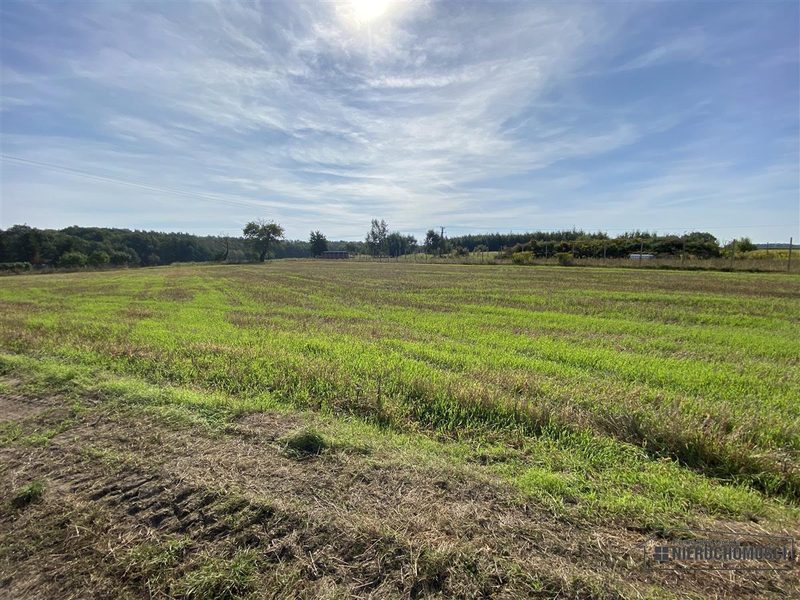 Działka na sprzedaż 927 m²: Działki budowlane na sprzedaż w Wyszomierzu