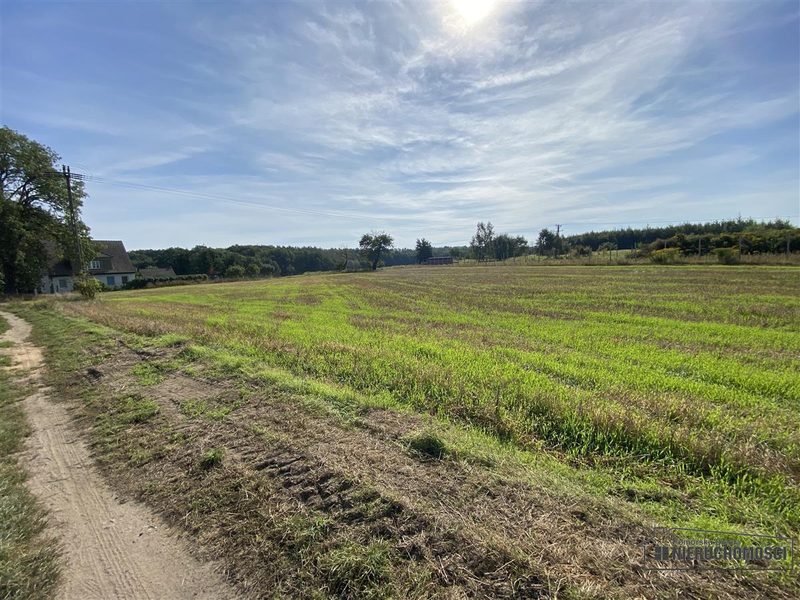 Działka na sprzedaż 927 m²: Działki budowlane na sprzedaż w Wyszomierzu