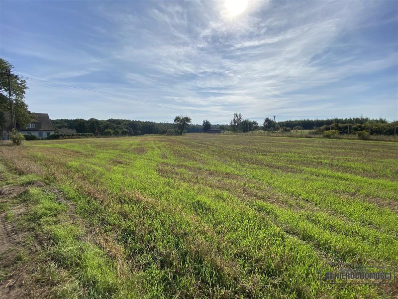 Działka na sprzedaż 927 m²: Działki budowlane na sprzedaż w Wyszomierzu