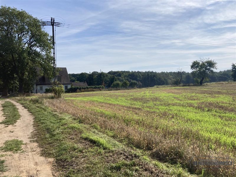 Działka na sprzedaż 927 m²: Działki budowlane na sprzedaż w Wyszomierzu