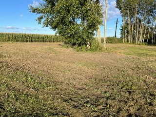 Działka budowlana blisko jeziora w Naprusewie, 34 km od Konina, zdjęcie 5