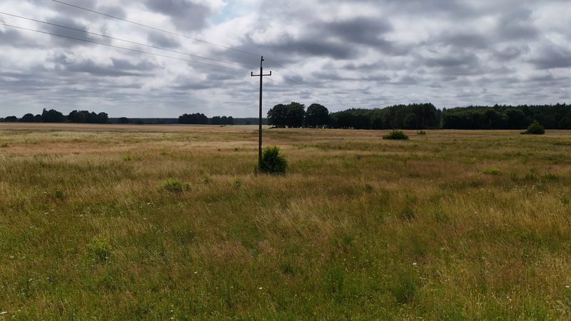 Działka na sprzedaż 1 254 m²: Działki budowlane na sprzedaż w Krytnie