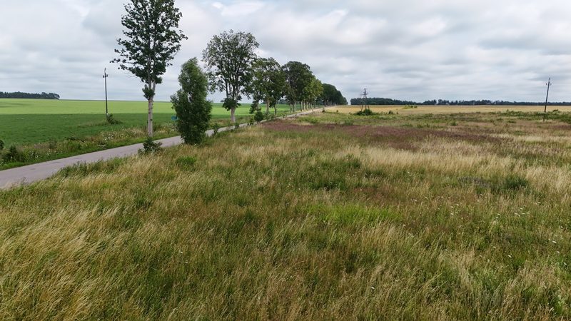 Działka na sprzedaż 1 254 m²: Działki budowlane na sprzedaż w Krytnie