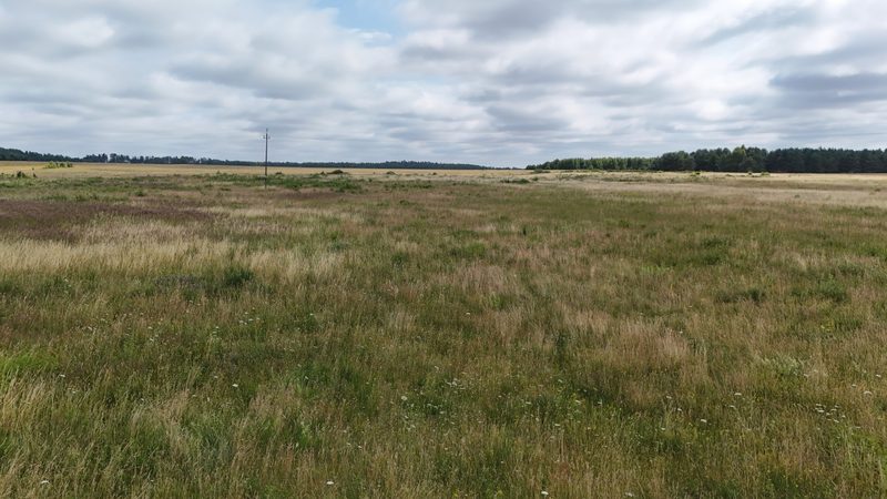 Działka na sprzedaż 1 254 m²: Działki budowlane na sprzedaż w Krytnie