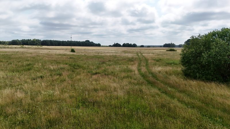Działka na sprzedaż 1 254 m²: Działki budowlane na sprzedaż w Krytnie