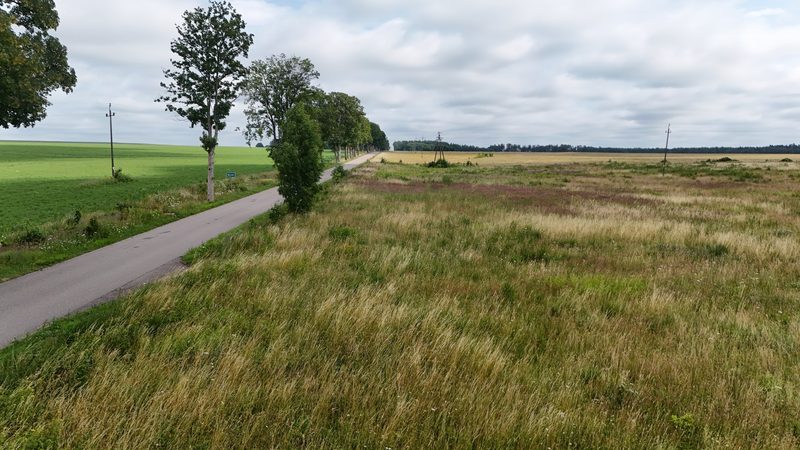 Działka na sprzedaż 1 254 m²: Działki budowlane na sprzedaż w Krytnie
