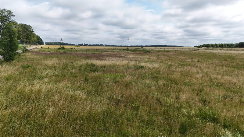 Działka na sprzedaż 1 254 m²: Działki budowlane na sprzedaż w Krytnie
