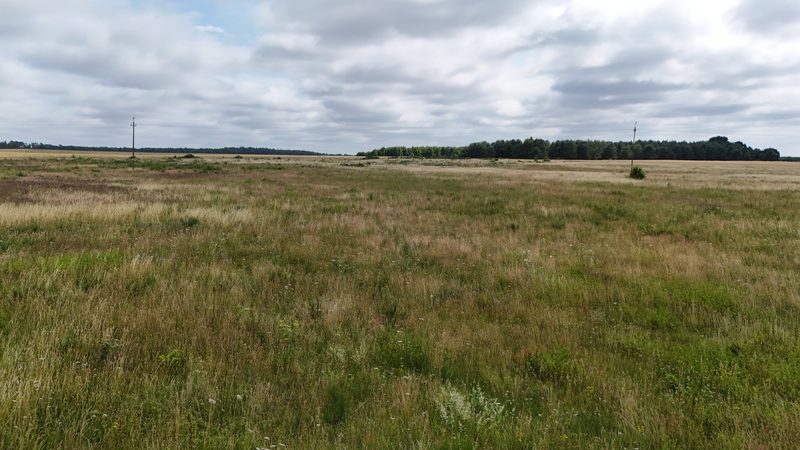 Działka na sprzedaż 1 254 m²: Działki budowlane na sprzedaż w Krytnie