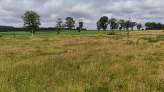 Działki budowlane na sprzedaż w Krytnie zdjęcie 9
