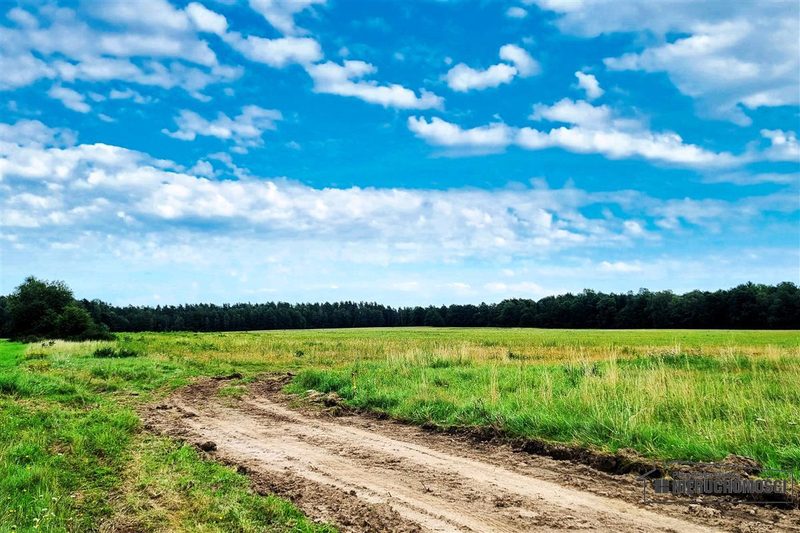 Działka na sprzedaż 3 001 m²: Działki budowlane na sprzedaż w Krytnie