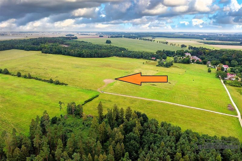 Działka na sprzedaż 3 001 m²: Działki budowlane na sprzedaż w Krytnie