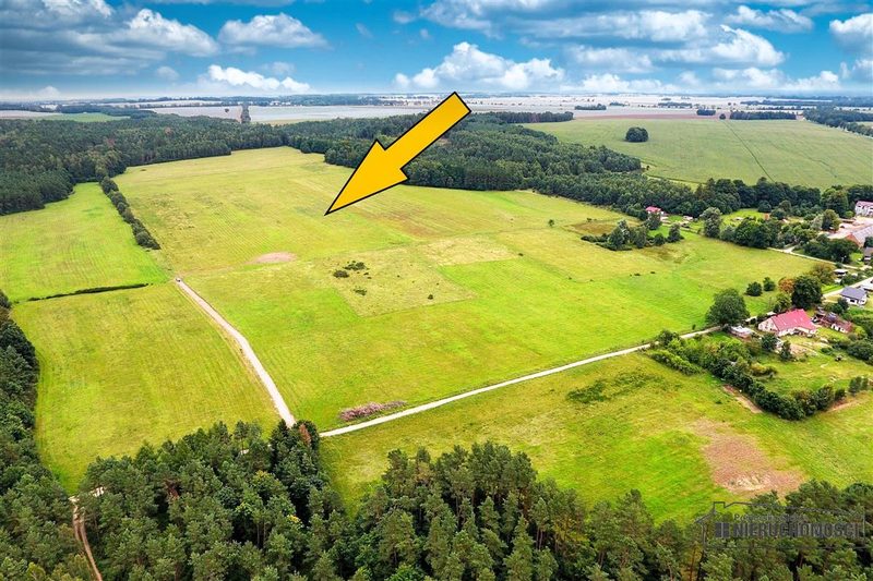 Działka na sprzedaż 3 001 m²: Działki budowlane na sprzedaż w Krytnie