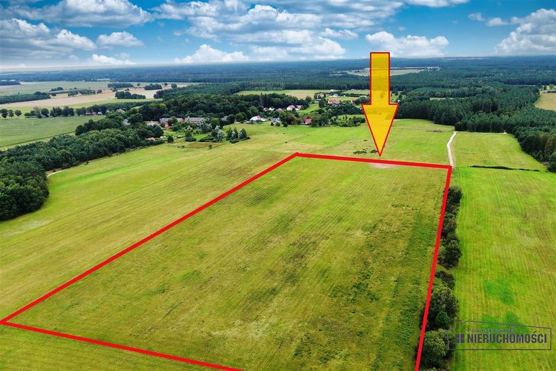 Działka na sprzedaż 3 001 m²: Działki budowlane na sprzedaż w Krytnie