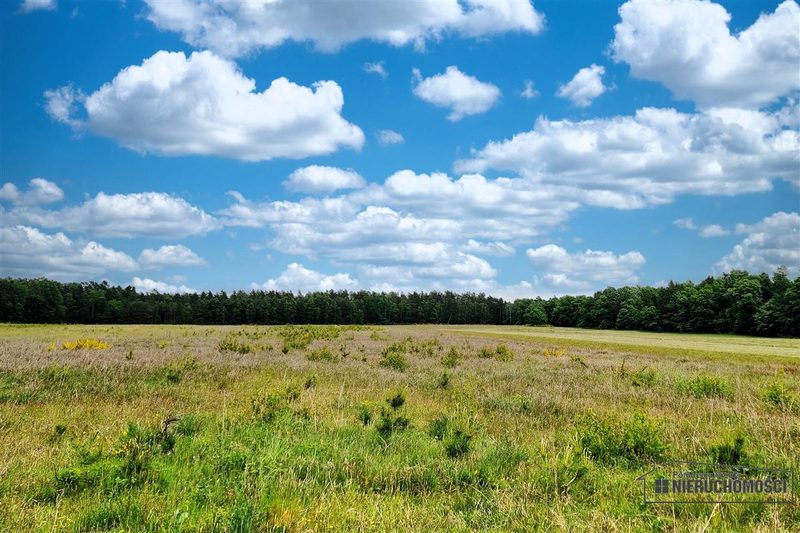 Działka na sprzedaż 3 001 m²: Działki budowlane na sprzedaż w Krytnie
