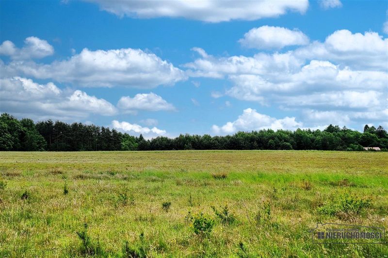 Działka na sprzedaż 3 001 m²: Działki budowlane na sprzedaż w Krytnie