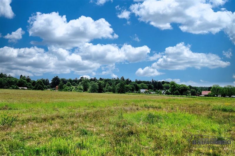 Działka na sprzedaż 3 001 m²: Działki budowlane na sprzedaż w Krytnie