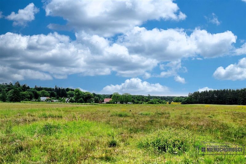 Działka na sprzedaż 3 001 m²: Działki budowlane na sprzedaż w Krytnie