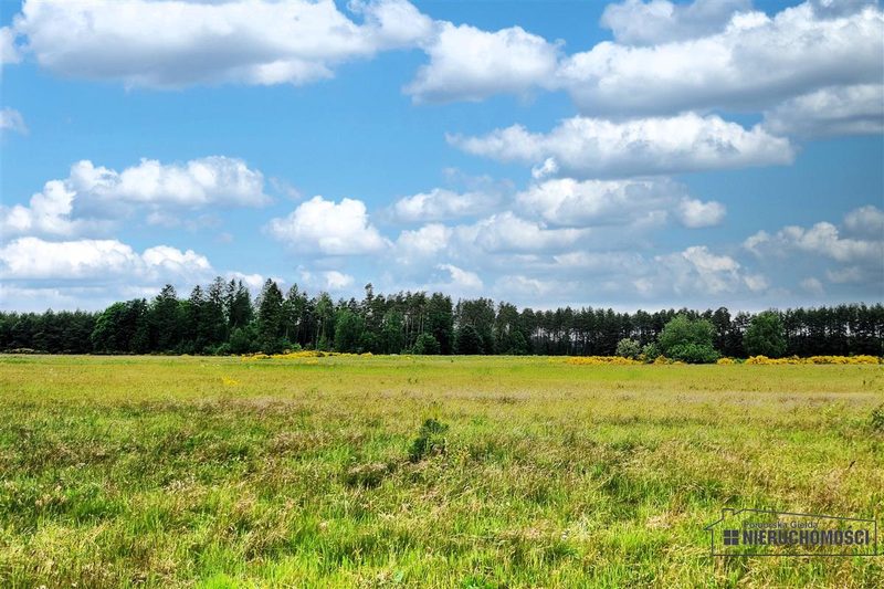 Działka na sprzedaż 3 001 m²: Działki budowlane na sprzedaż w Krytnie