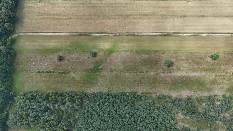 Działka na sprzedaż 19 163 m²: Działka budowlana na sprzedaż w Sowinko, 16 km od Polanowa