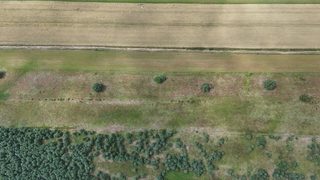 Baugrundstück zu verkaufen in Sowinko zdjęcie 9