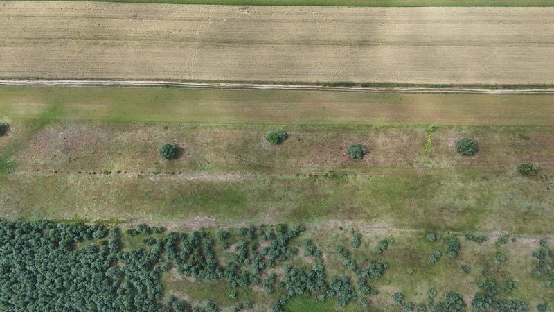 Działka na sprzedaż 19 163 m²: Działka budowlana na sprzedaż w Sowinko, 16 km od Polanowa