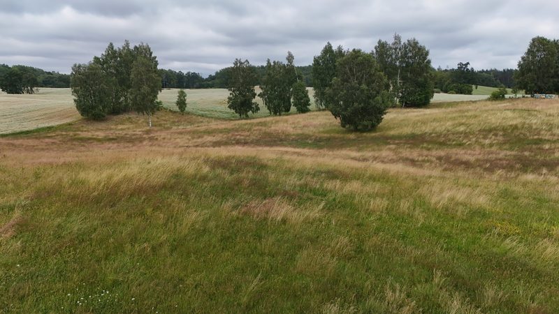 Działka na sprzedaż 2 535 m²: Działki budowlane na sprzedaż w Żydowie