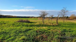 Baugrundstücke zu verkaufen in Wilkowice zdjęcie 11