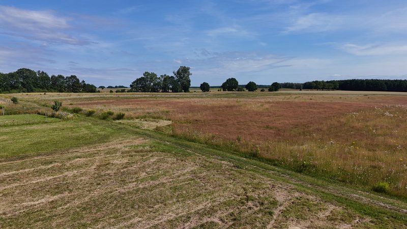 Działka na sprzedaż 1 123 m²: Działki budowlane na sprzedaż w Bolkowo, 13 km od Połczyna-Zdroju