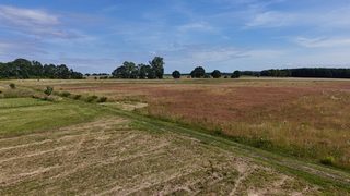 Działki budowlane na sprzedaż w Bolkowo, 13 km od Połczyna-Zdroju zdjęcie 8