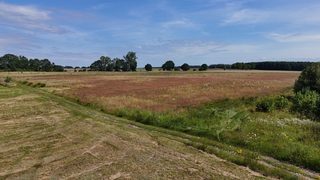 Działki budowlane na sprzedaż w Bolkowo, 13 km od Połczyna-Zdroju zdjęcie 9