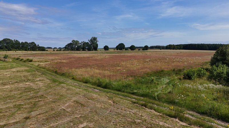 Działka na sprzedaż 1 123 m²: Działki budowlane na sprzedaż w Bolkowo, 13 km od Połczyna-Zdroju