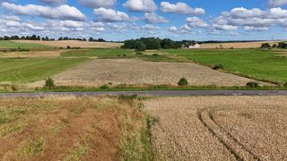 Działka budowlana wśród pól w Truskolasie, 9 km od Płotów, zdjęcie 12
