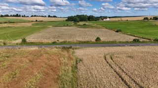 Działka budowlana wśród pól w Truskolasie, 9 km od Płotów, zdjęcie 13